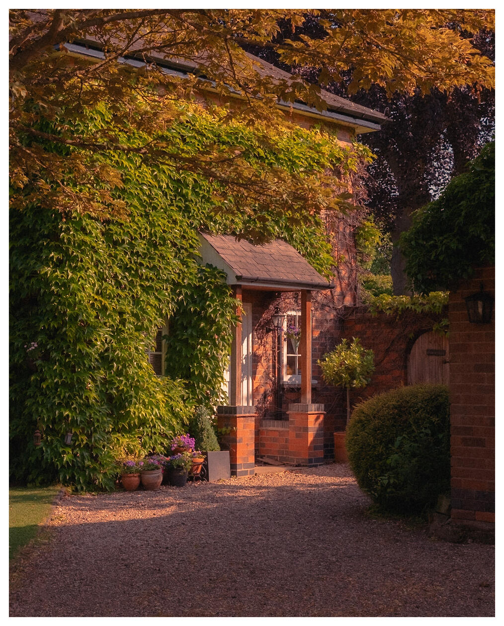 Leafy doorway Leafy doorway