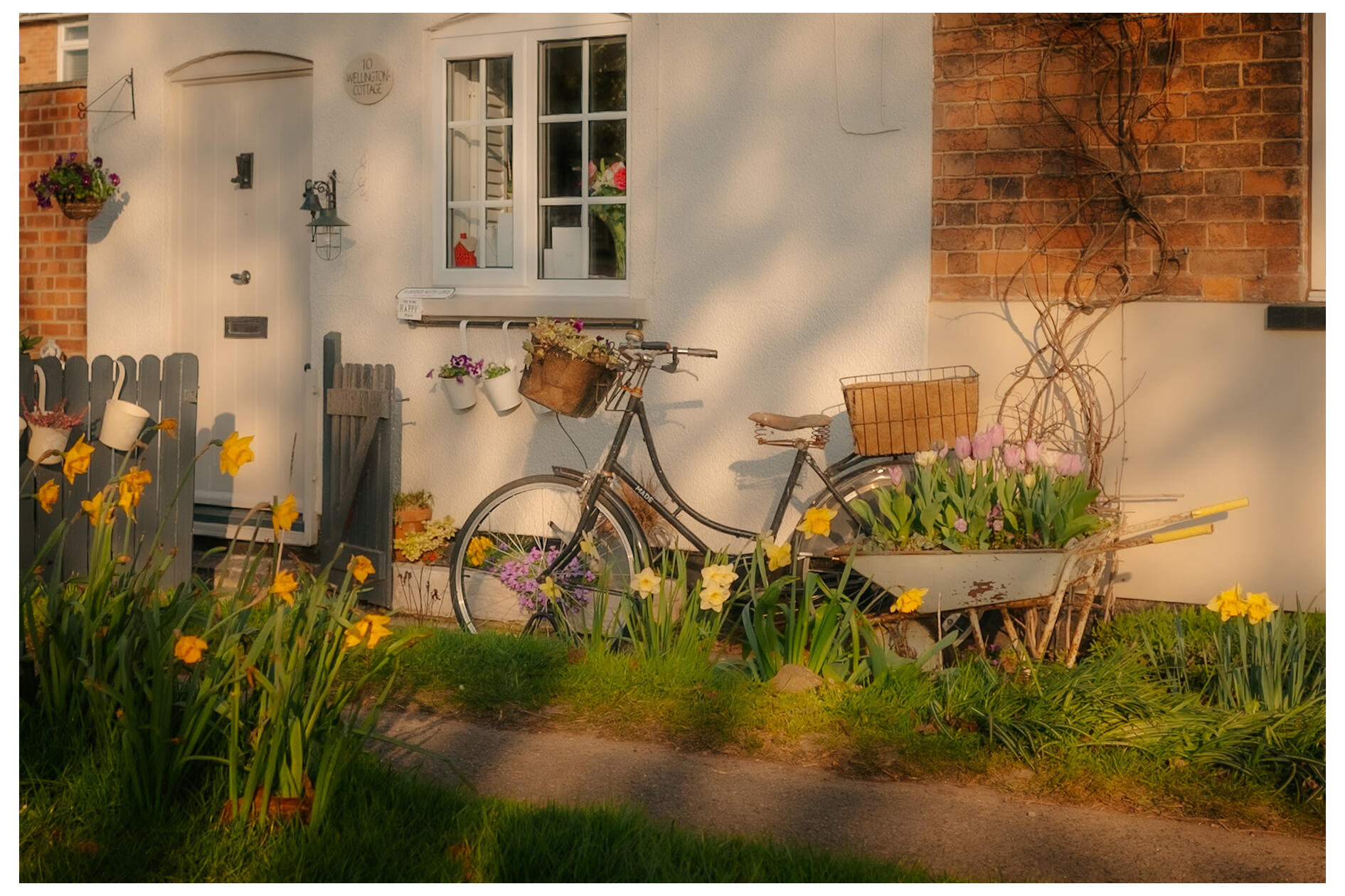 Spring bike Spring bike